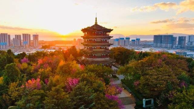 【转】昆明冬日限定赏冬樱花攻略