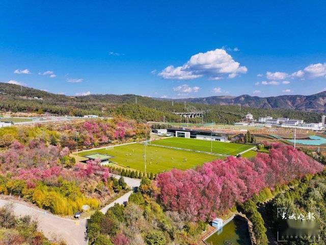 【转】昆明冬日限定赏冬樱花攻略