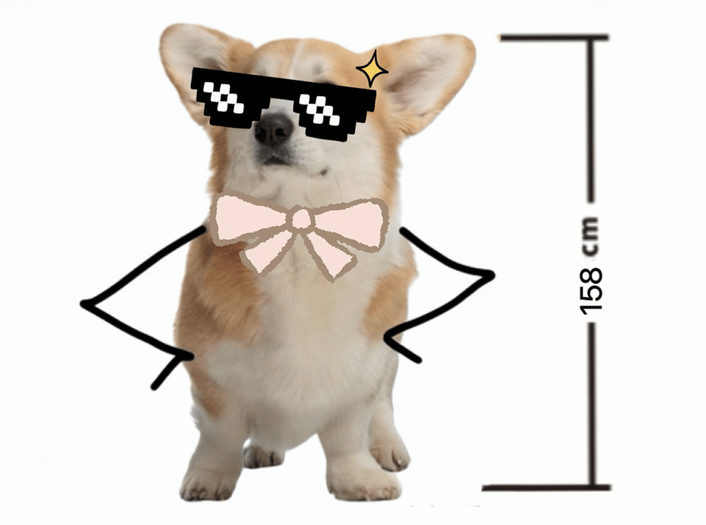 【转】真不骗你,矮个子,其实是中了基因彩票!