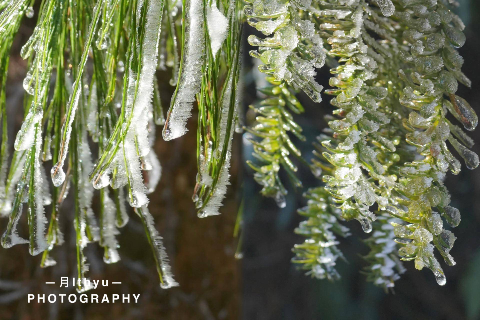 【转】福建也有雪!探索本地冰雪美景的秘密
