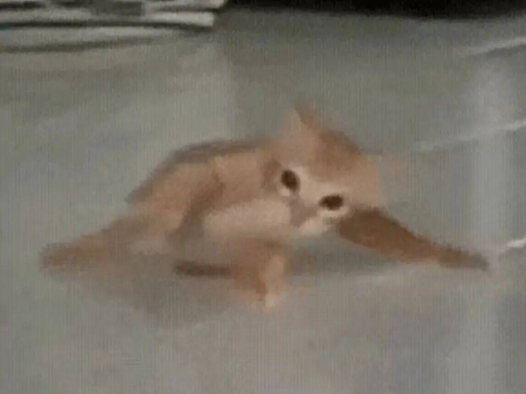 【转】真不骗你,矮个子,其实是中了基因彩票!