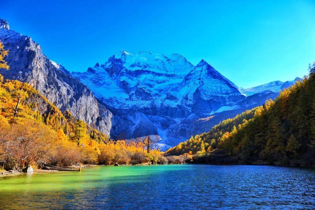 【萌喵】【转】转移支付之下,哪些地区在受益?