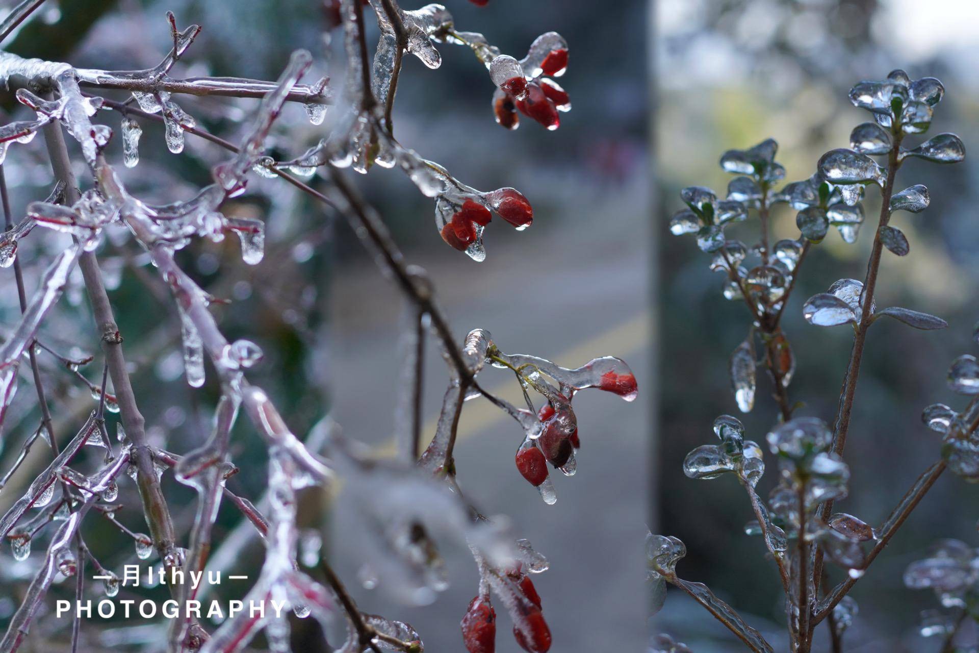 【转】福建也有雪!探索本地冰雪美景的秘密