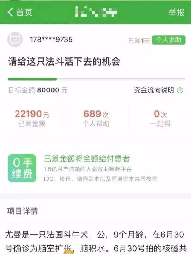 「曝光」大多数宠物募捐,都是一场利用爱心的骗局
