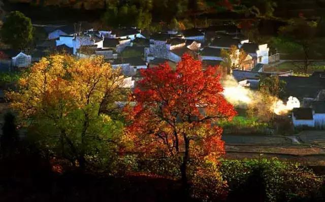 一叶可知秋,一雨即入冬揭秘南方十大最美秋景!