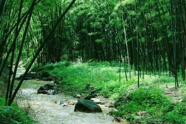 中国唯一的“凉都”,年年夏天19℃!