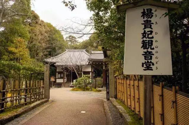 《妖猫传》没说的贵妃之死?被这部纪录片说透了!