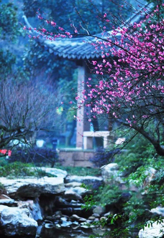 2月最佳旅行地,全年最热闹的时刻即将来临!