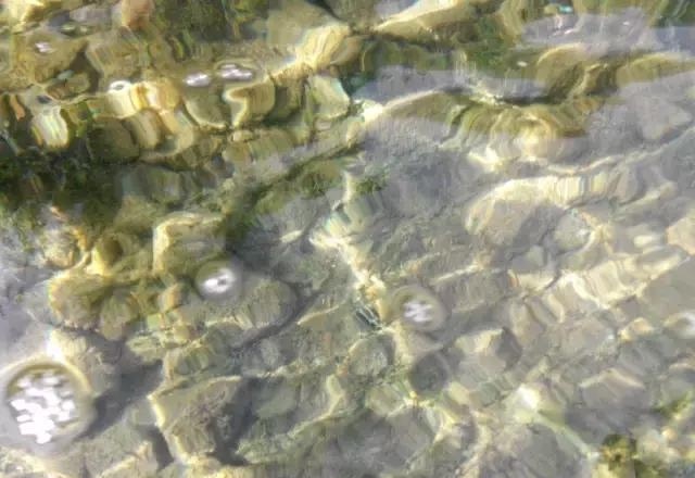 云南旅游印象:泸沽湖,女儿国里女神没有眼泪