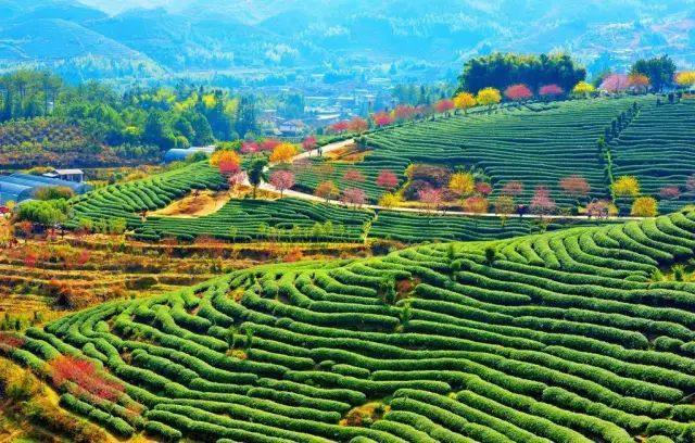 2018年国内最美旅行时间表,承包你一整年的旅途,内附自驾路线!