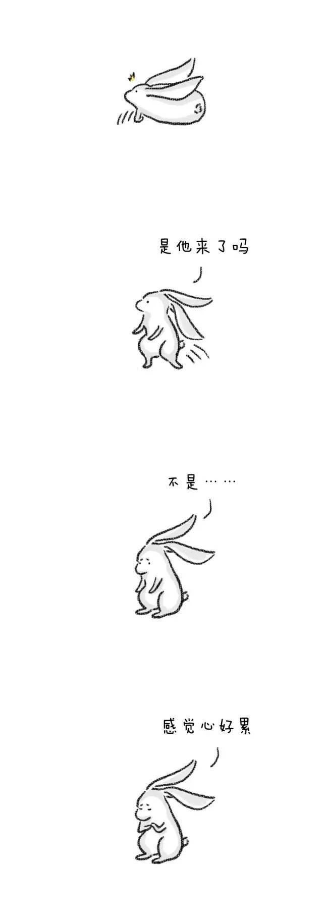 遇见你,真好啊