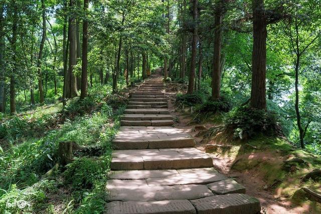 这些都是AAAAA级景区,多一个A怕它们骄傲