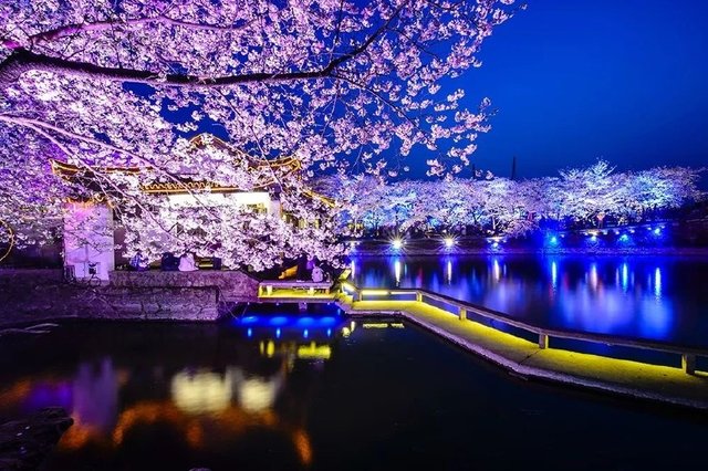 兜兜转转的2017,我与这个世界的关系,一个旅行摄影师的年终总结