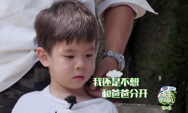 嗯哼收泪执行任务变男子汉,霍思燕感动得泪流满面