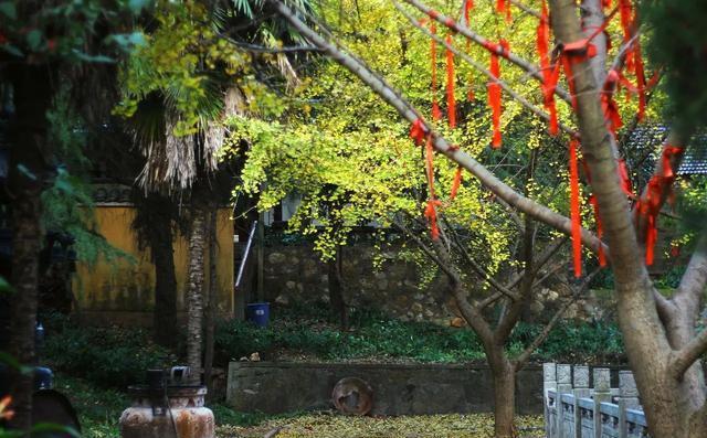 这座深藏在南京老山中的古刹,牵动着半个南京城人民的心