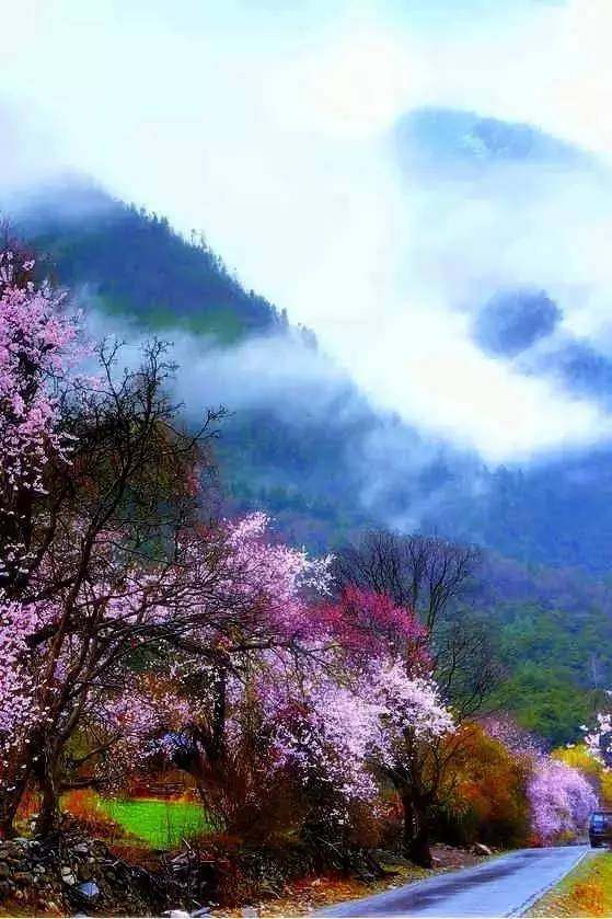 2018年国内最美旅行时间表,承包你一整年的旅途,内附自驾路线!