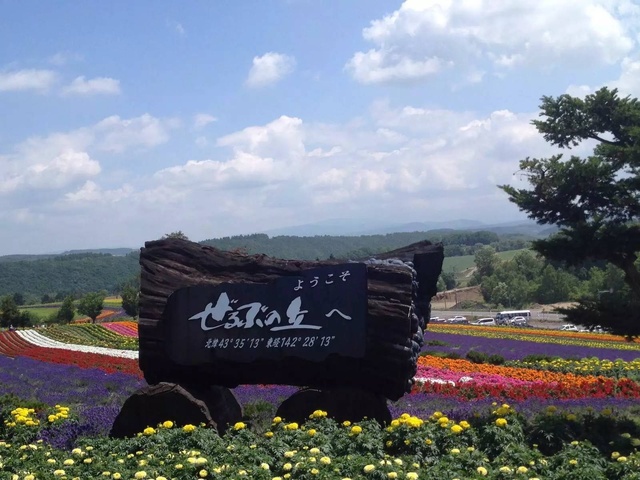 这辈子一定要去的地方丨北海道美瑛。