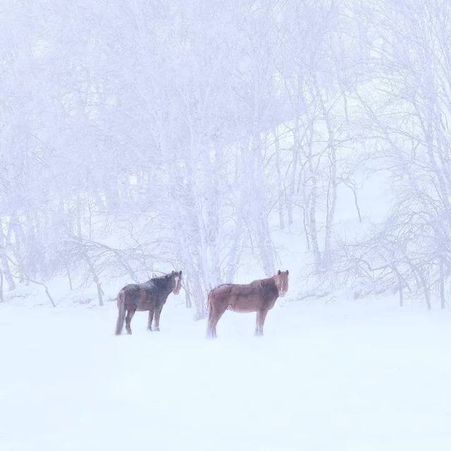 2018年国内最美旅行时间表,承包你一整年的旅途,内附自驾路线!