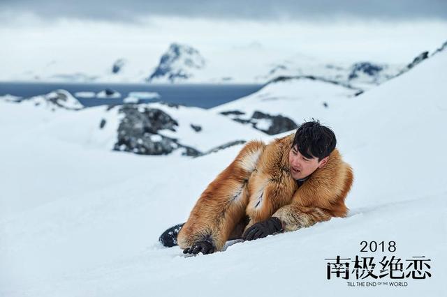 《南极绝恋》赵又廷杨子姗等爱归来