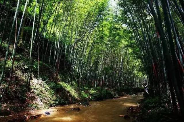 中国唯一的“凉都”,年年夏天19℃!