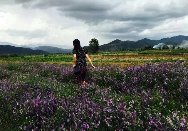 云南旅游印象:泸沽湖,女儿国里女神没有眼泪