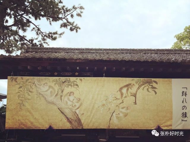 轻盈滋润,去日本做内外兼修的清新旅行!