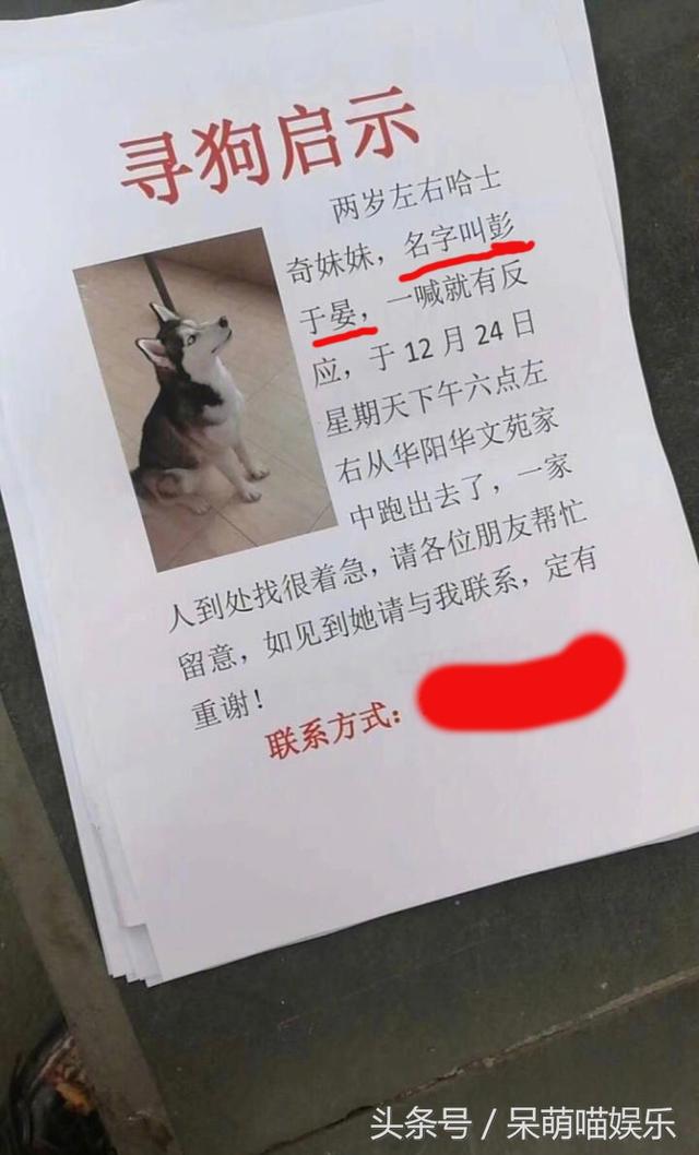 每日彭于晏资讯精选|范玮琪晒彭于晏与儿子合照 其乐融融超有趣