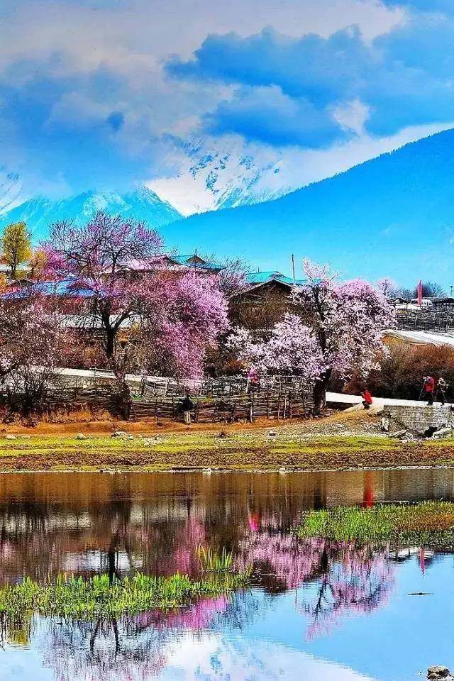 2018年国内最美旅行时间表,承包你一整年的旅途,内附自驾路线!