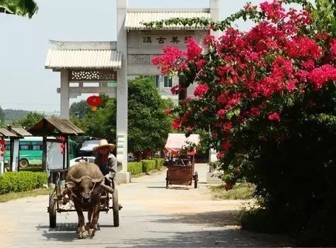 广西这么美,新年你启程出发旅游的第一站将会是哪里?