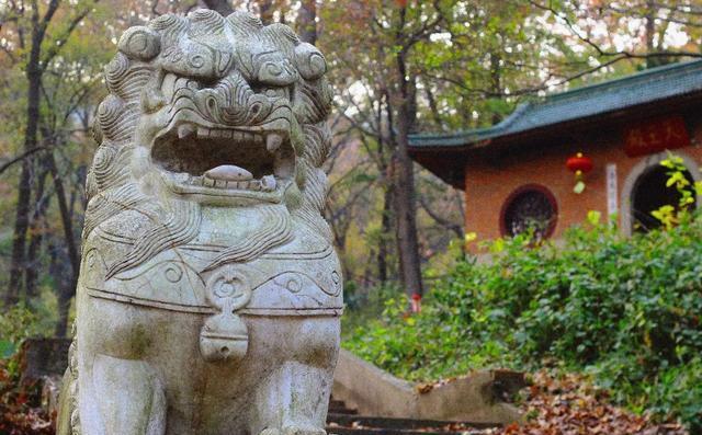 这座深藏在南京老山中的古刹,牵动着半个南京城人民的心