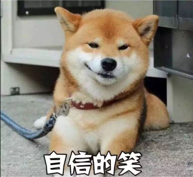 美国一男子拒捕咬警犬狗头 警犬不甘示弱咬了回去