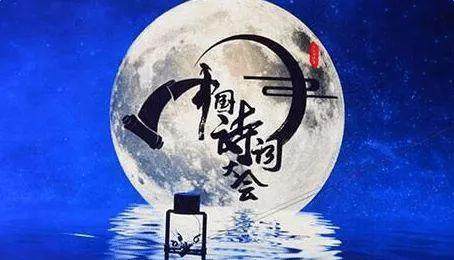 年度热门综艺盘点,你一定被这7部刷过屏