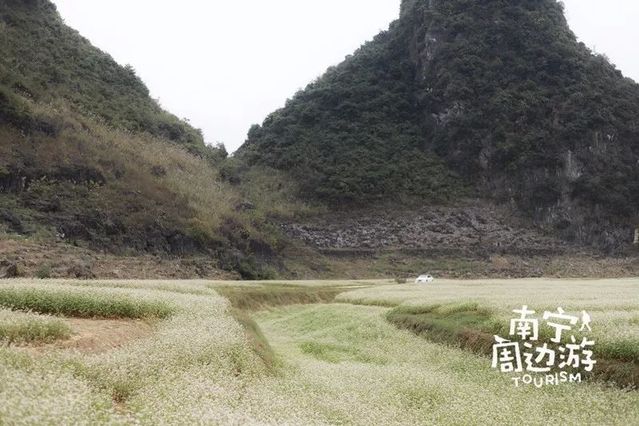 厉害!广西的这几个地方要上央视春晚啦!现场抢先看!