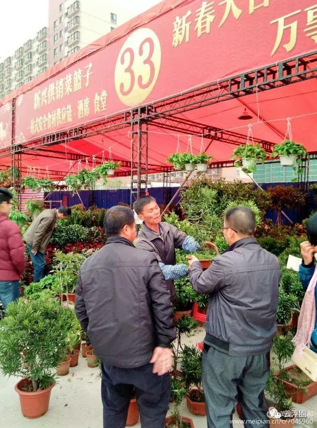 今年,新兴花街特别美!