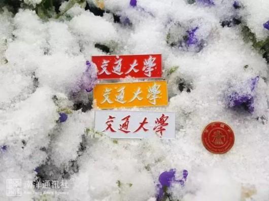 沪上高校纷纷晒雪景,一大波美图来袭!