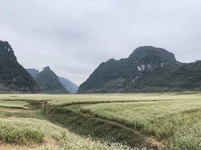 厉害!广西的这几个地方要上央视春晚啦!现场抢先看!