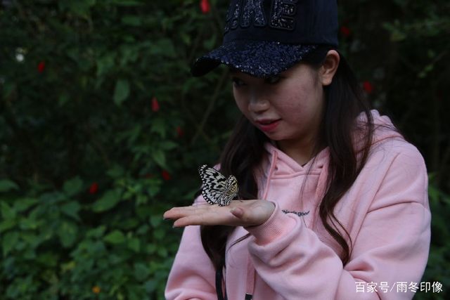 行摄云南旅行游记第六篇,野象谷里不仅有好多大象,还有好多美女