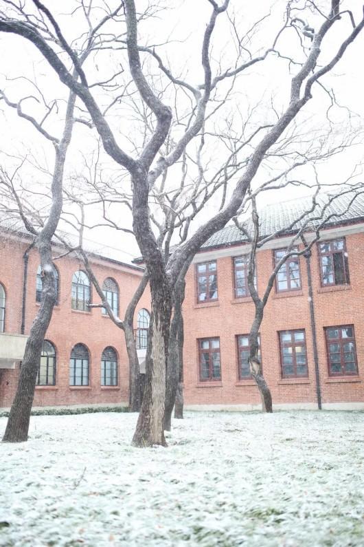 沪上高校纷纷晒雪景,一大波美图来袭!