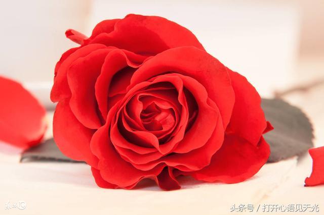 爱上你是缘分