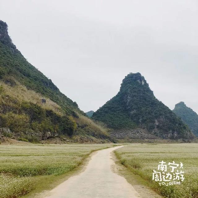 厉害!广西的这几个地方要上央视春晚啦!现场抢先看!