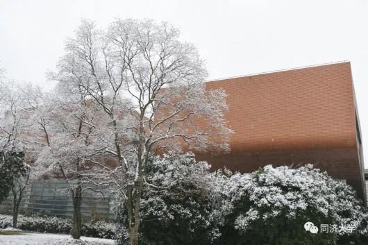 沪上高校纷纷晒雪景,一大波美图来袭!