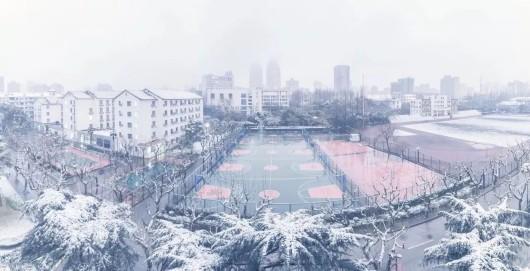 沪上高校纷纷晒雪景,一大波美图来袭!