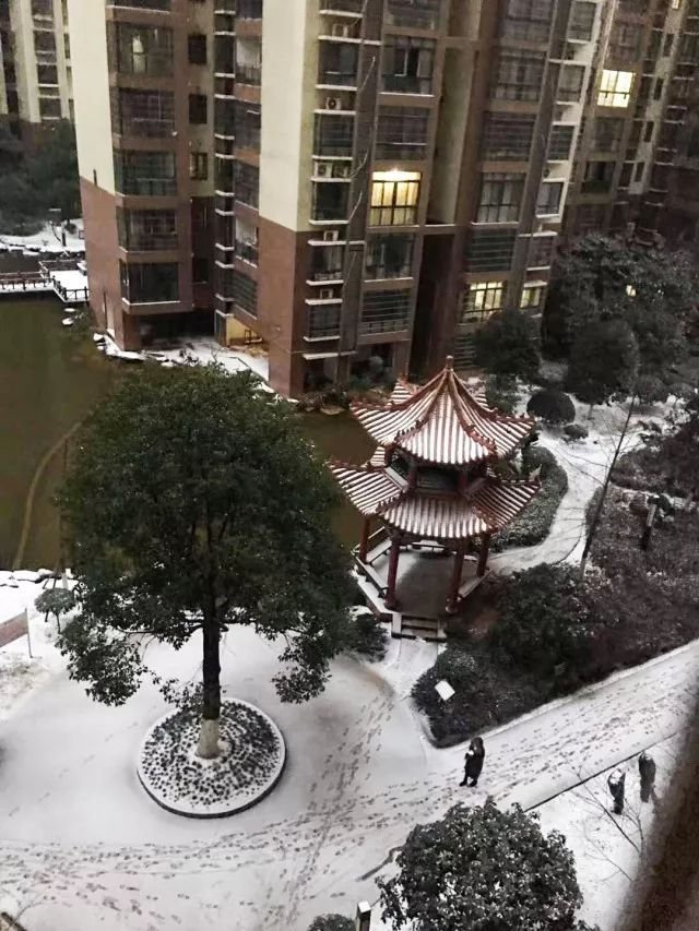 长沙下雪啦!票圈摄影大赛开始啦!