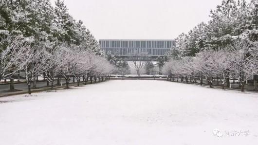 沪上高校纷纷晒雪景,一大波美图来袭!