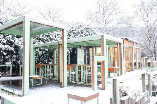 沪上高校纷纷晒雪景,一大波美图来袭!