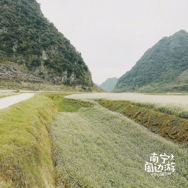 厉害!广西的这几个地方要上央视春晚啦!现场抢先看!