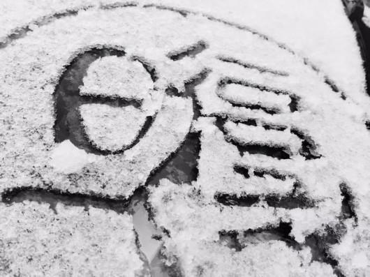 沪上高校纷纷晒雪景,一大波美图来袭!