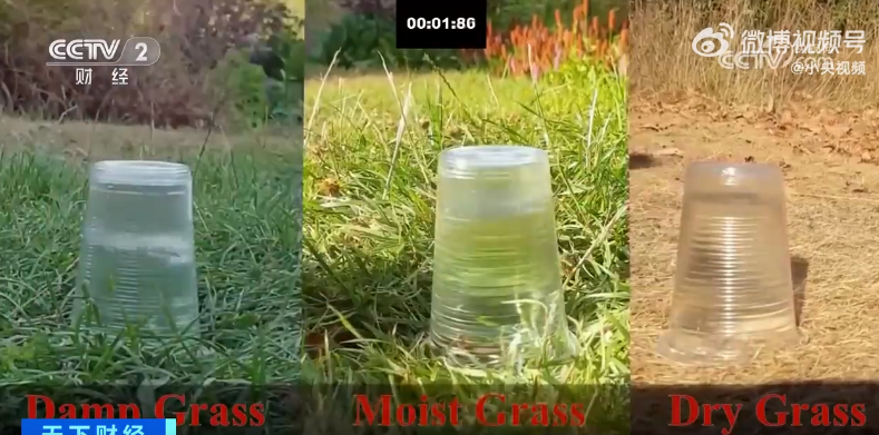 干旱久了那么缺水,为啥一下雨还要发洪水?