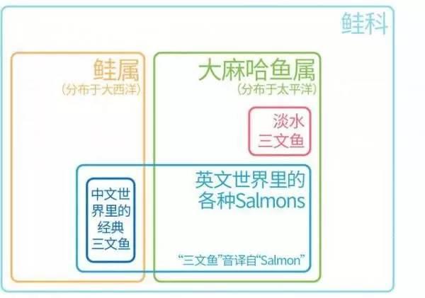 虹鳟也是三文鱼?养殖不如野生?真相在这里