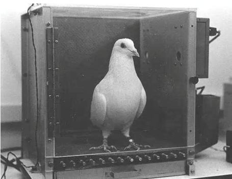 2019年都快过完了,为什么还有人这么迷信?